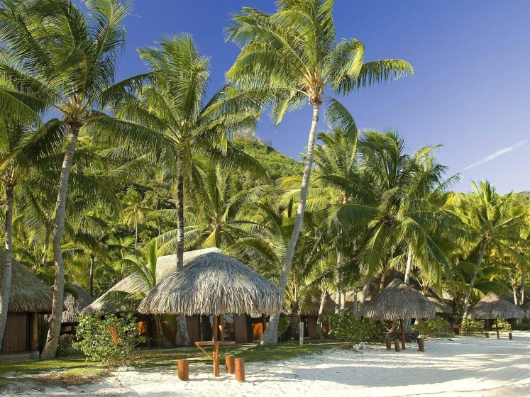 BORA BORA 2026 I 2027 - Image 3